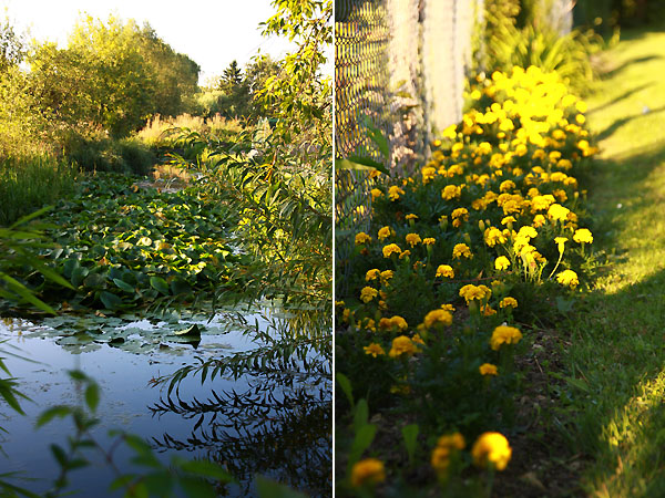 maraisdebourges2.jpg