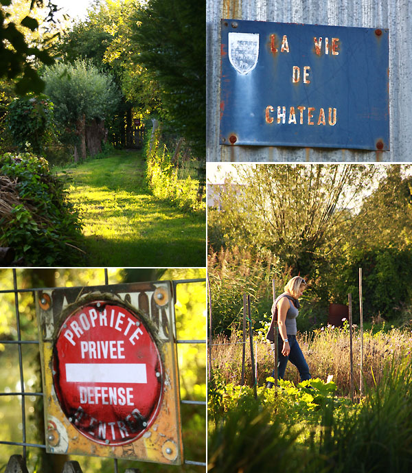 maraisdebourges3.jpg