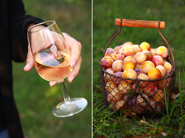 mirabelles2.jpg