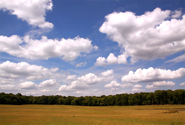 plaine.jpg