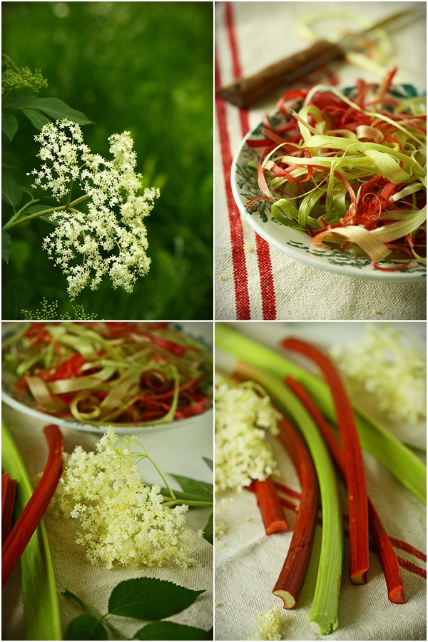 rhubarbesureau.jpg, juin 2013 rhubarbesureau.jpg