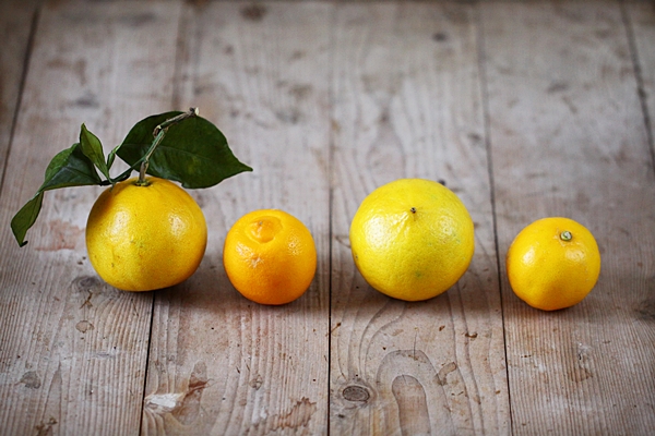 bergamote_citronbeldi2.JPG