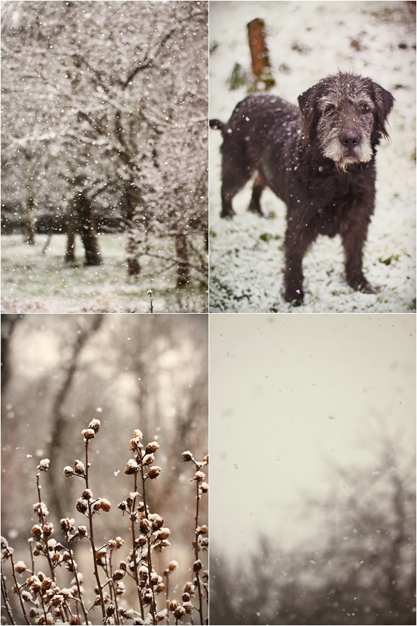 neigeberry2015.jpg, fév. 2015 neigeberry2015.jpg
