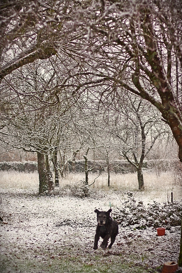 neigeberry2015_2.JPG