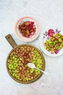 tarterhubarbe_rhubarbtart_geometric4.jpg