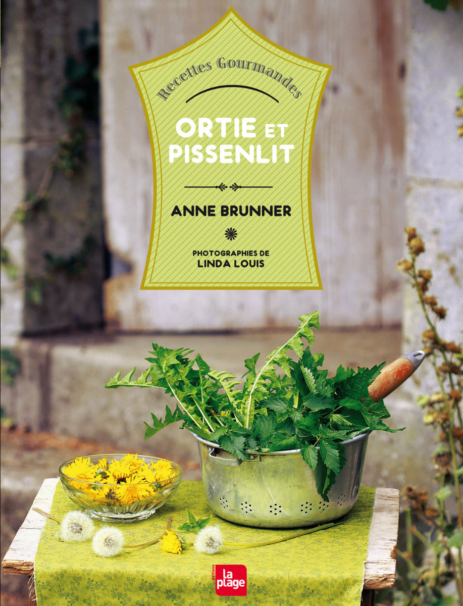 Histoire de piquer votre curiosité… Ortie & pissenlit