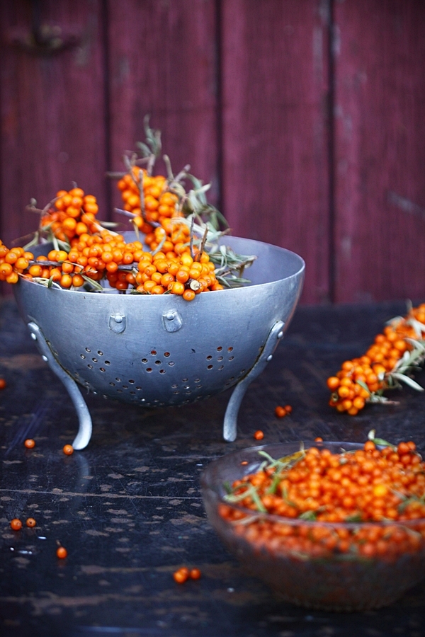 Baies et petits fruits